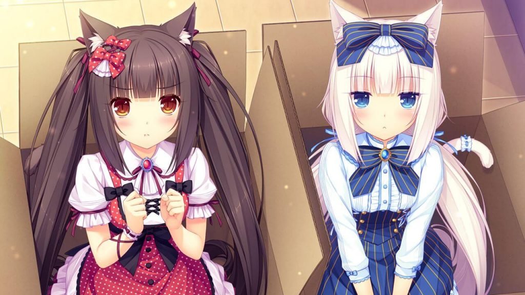 Two cute catgirls in cardboard boxes